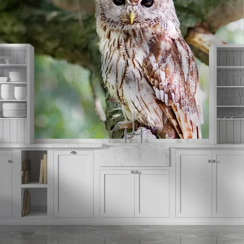 Wznoszący się tawny owl w naturalnych odcieniach