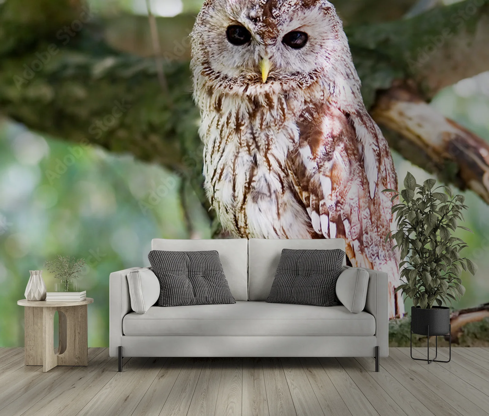Wznoszący się tawny owl w naturalnych odcieniach