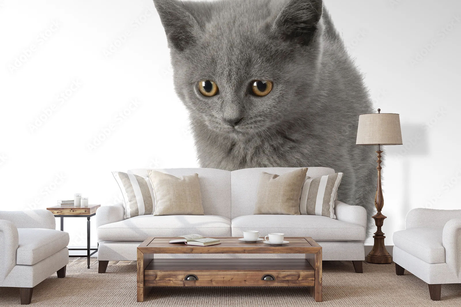 Urok Chatona Chartreux w subtelnej bieli