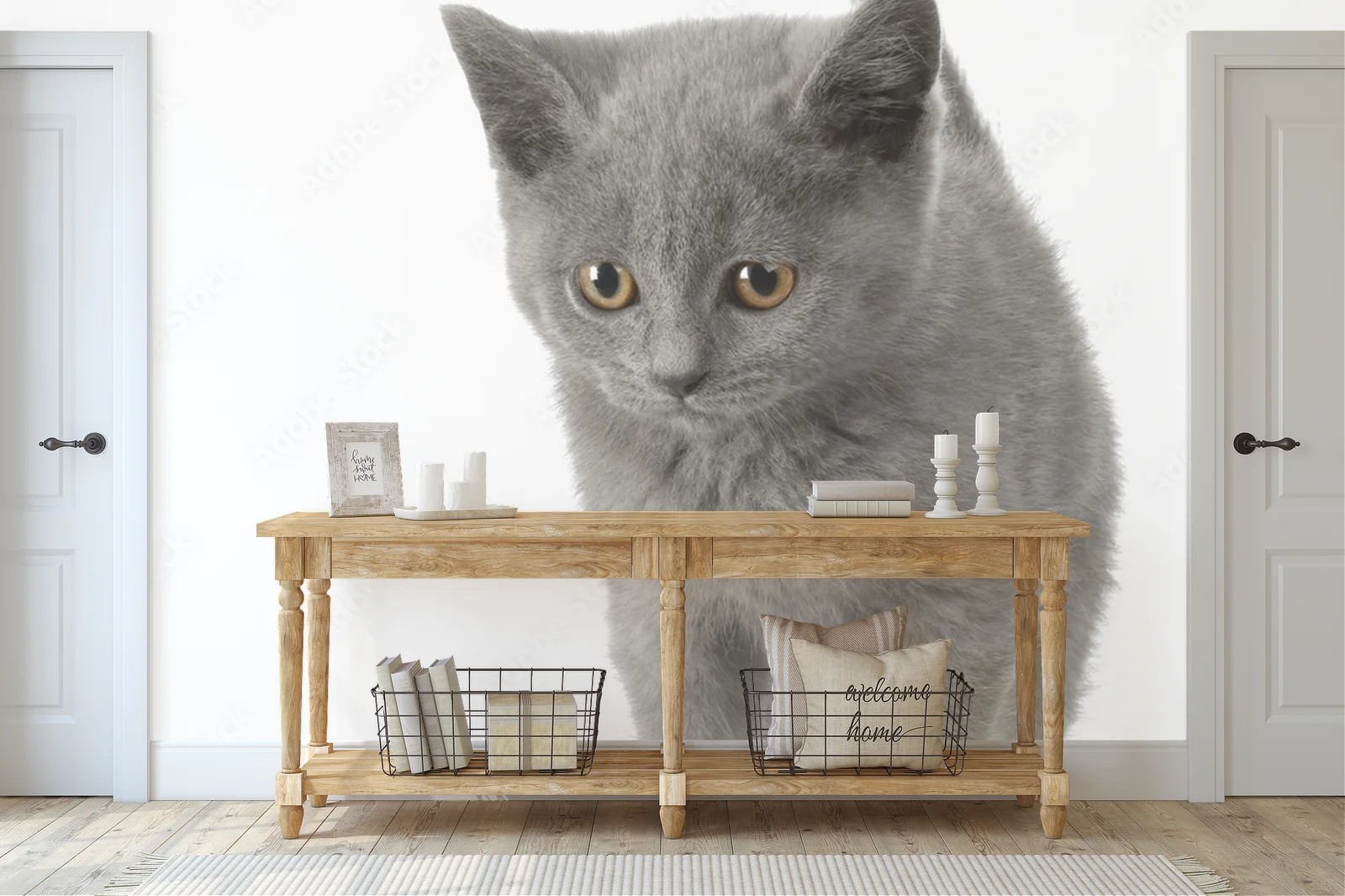 Urok Chatona Chartreux w subtelnej bieli