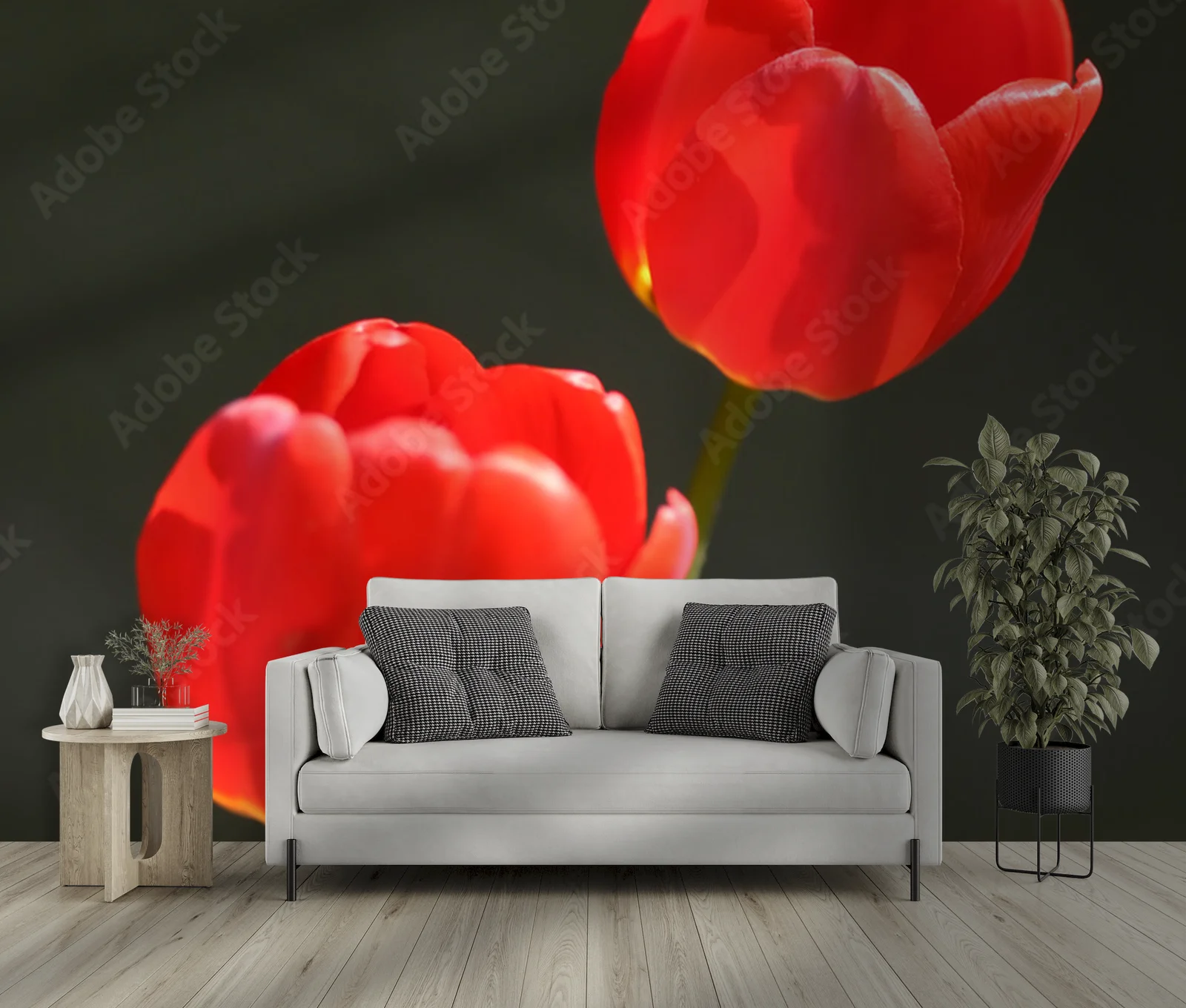 Czerwone tulipany w eleganckim ujęciu