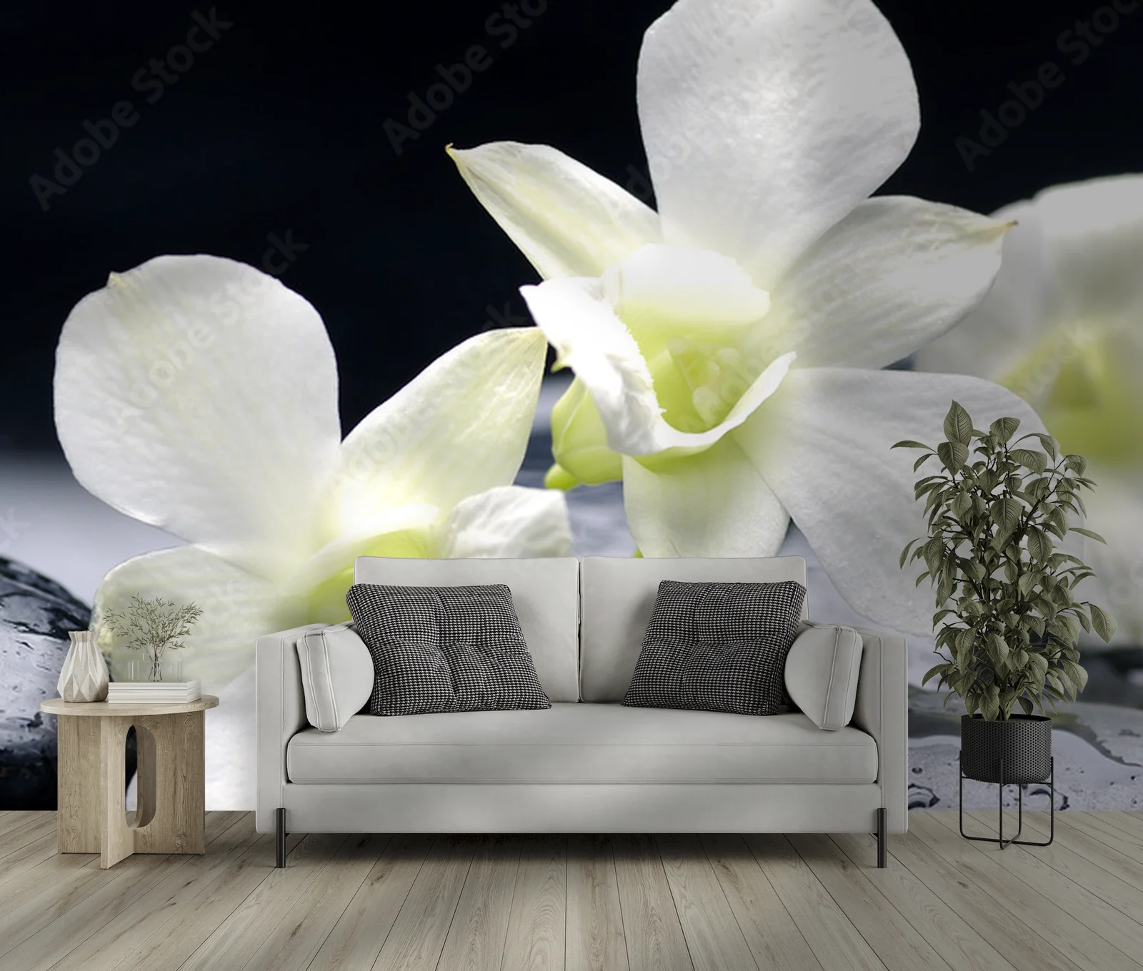 Zjawiskowa harmonia orchidei w delikatnych odcieniach