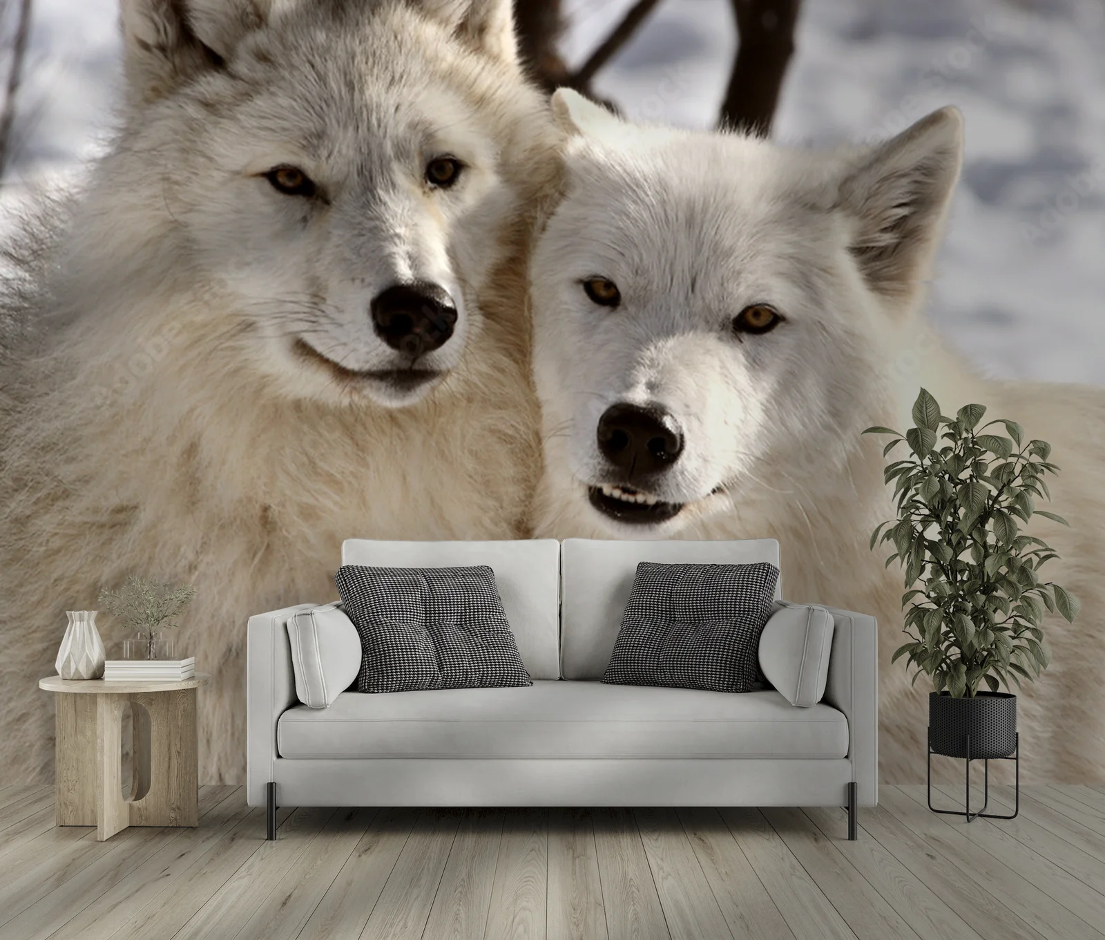 Arktowskie wilki w zimowej harmonii