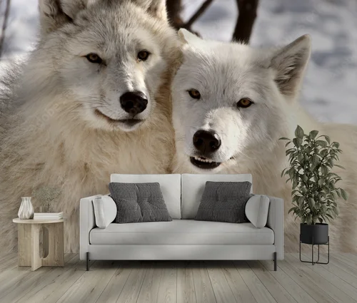 Arktowskie wilki w zimowej harmonii