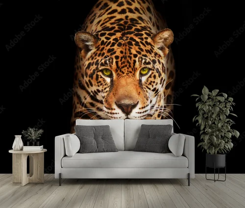 Elegancja czerni: majestatyczny jaguar w mroku
