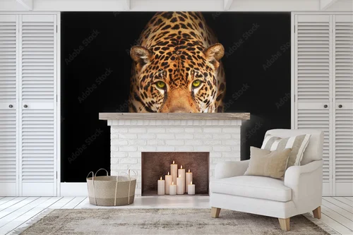 Elegancja czerni: majestatyczny jaguar w mroku