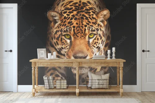 Elegancja czerni: majestatyczny jaguar w mroku