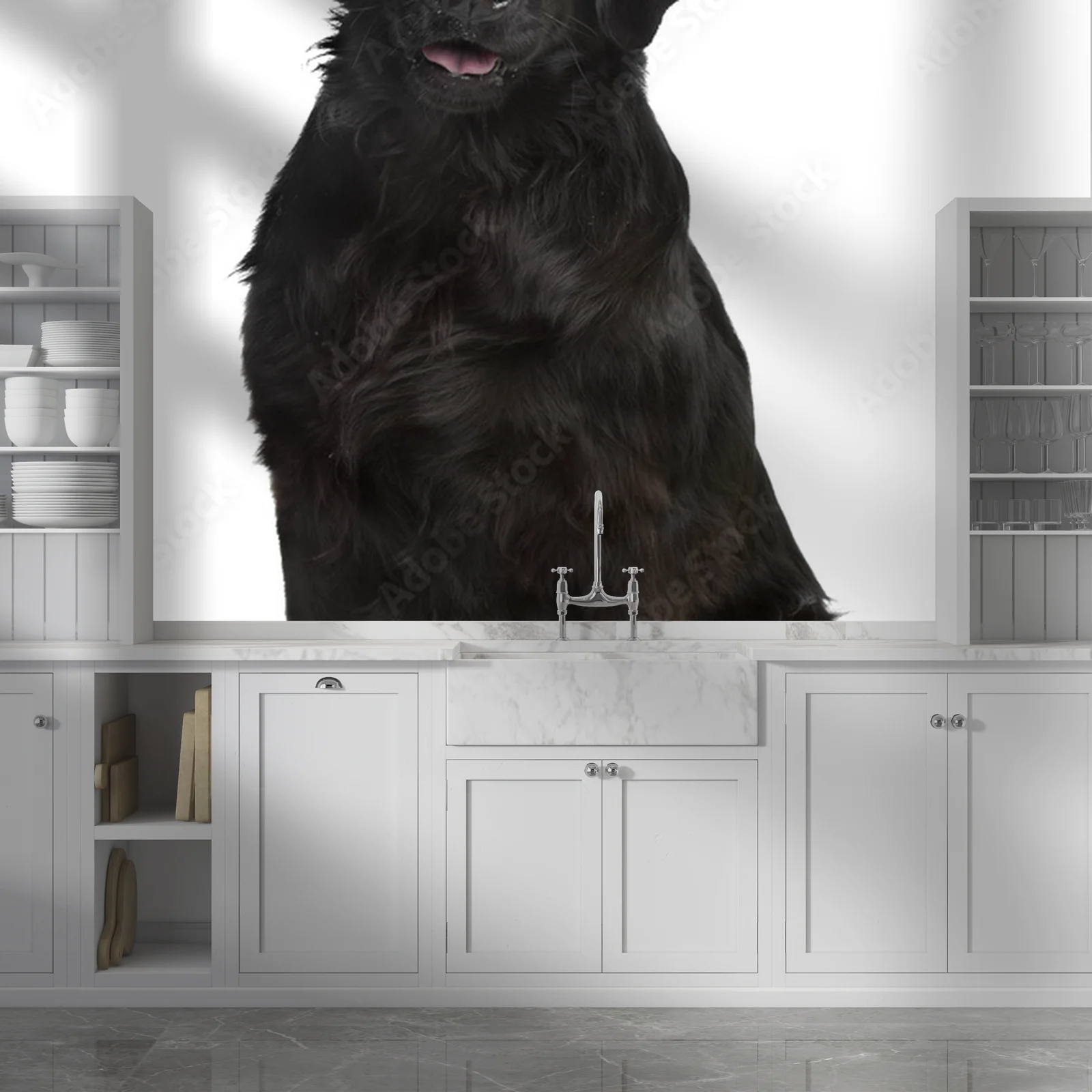 Elegancja bieli: Flat-Coated Retriever