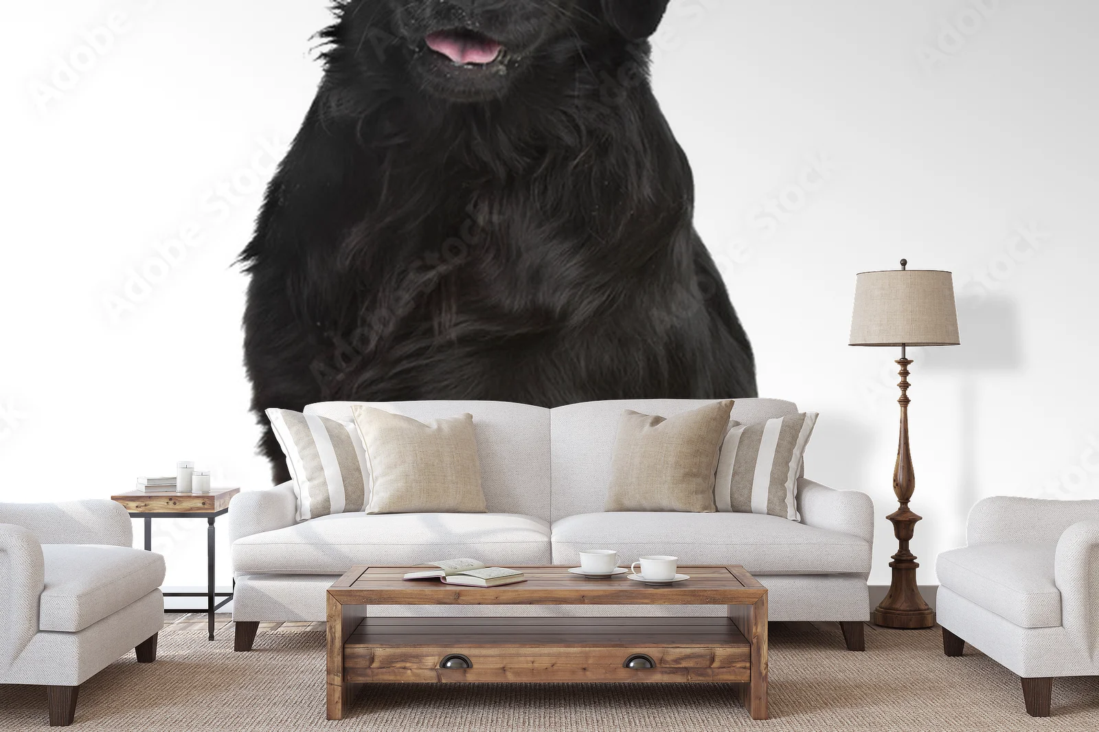 Elegancja bieli: Flat-Coated Retriever