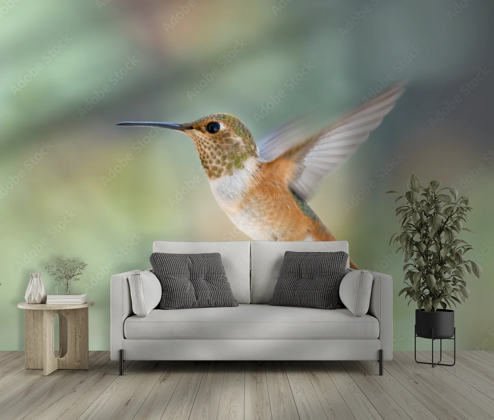 Hummingbird w Odwleczonym Latającym Tańcu