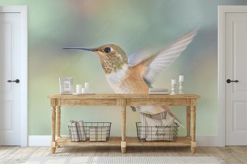 Hummingbird w Odwleczonym Latającym Tańcu