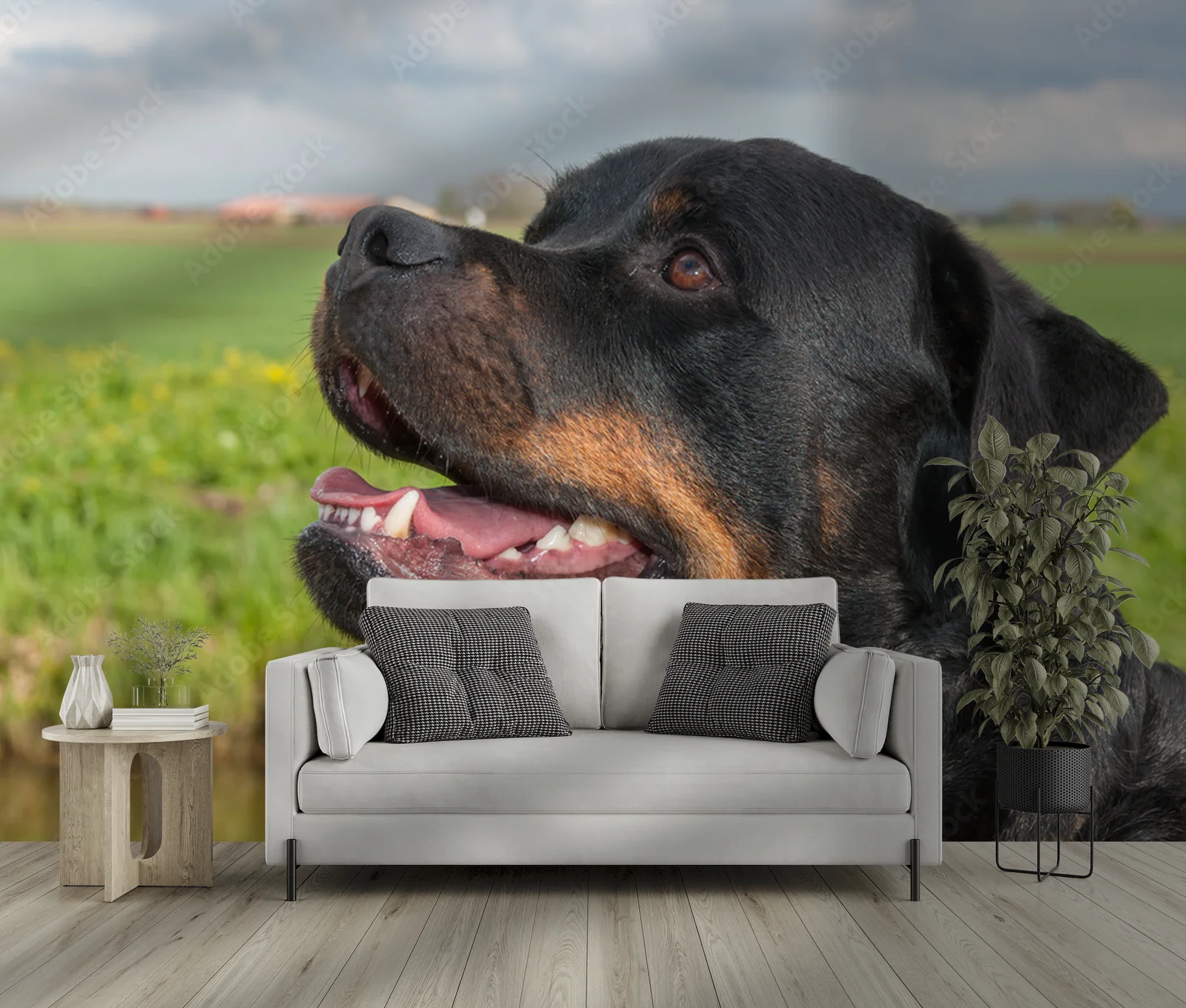 Energetyczny portret rottweilera w naturalnych tonach
