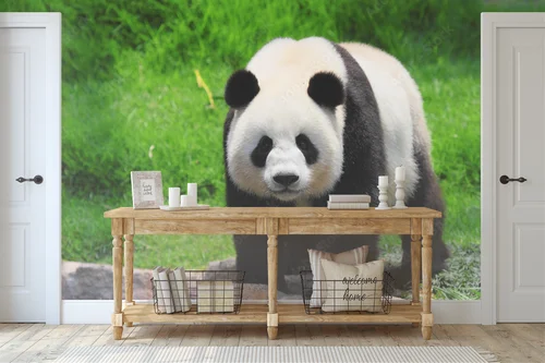 Urokliwe czarno-białe pandy w naturalnej harmonii