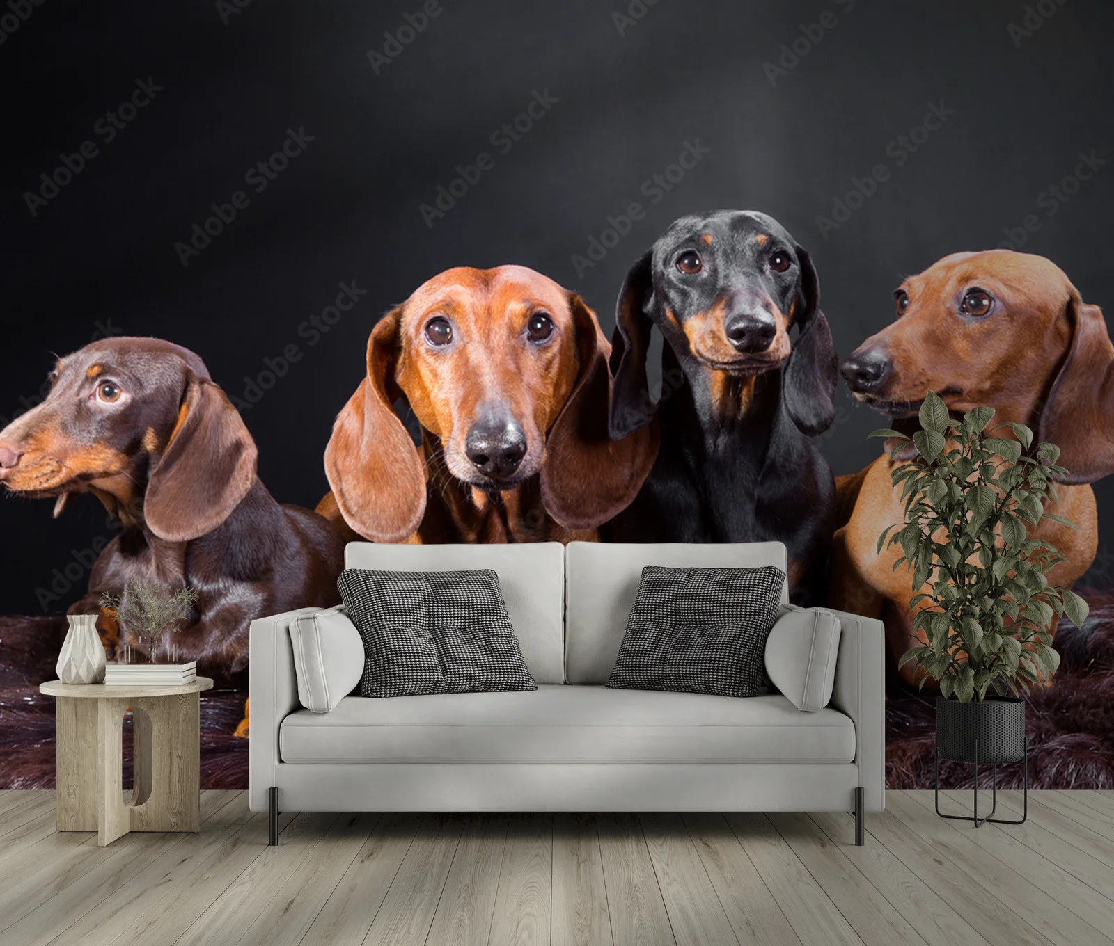 Cztery urocze dachshundy w tajemniczym otoczeniu