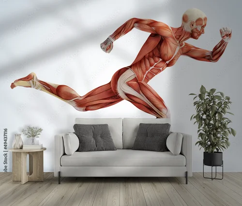 Anatomiczna doskonałość w subtelnych odcieniach