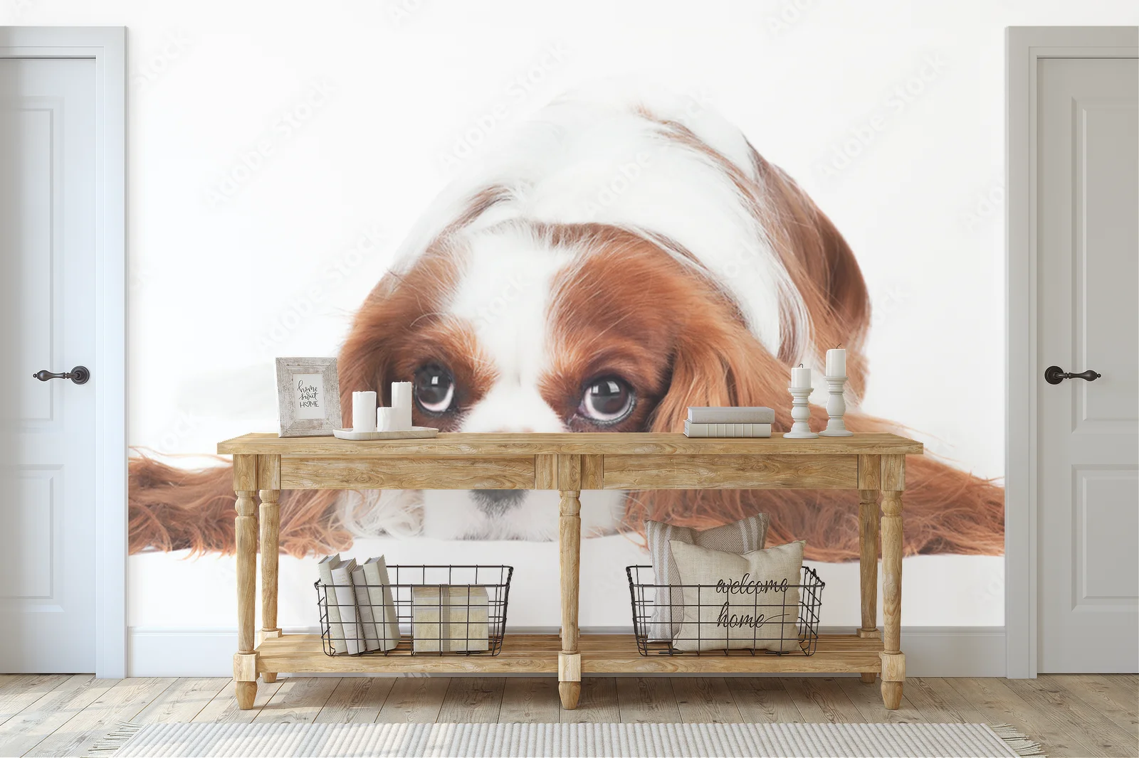 Cudowny Cavalier King Charles Spaniel w bieli