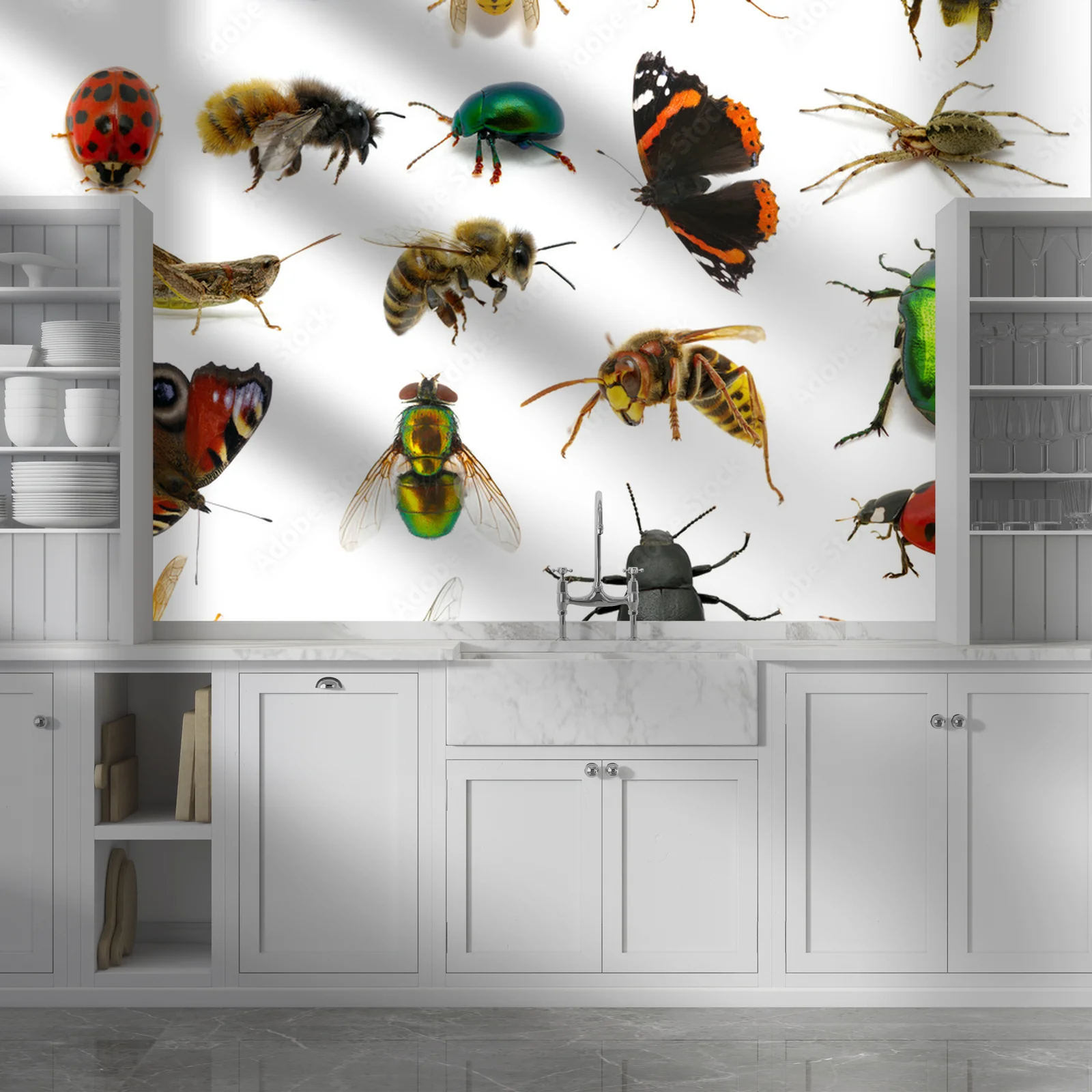 Zanurzenie w insektywnym królestwie barw