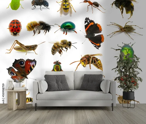 Zanurzenie w insektywnym królestwie barw