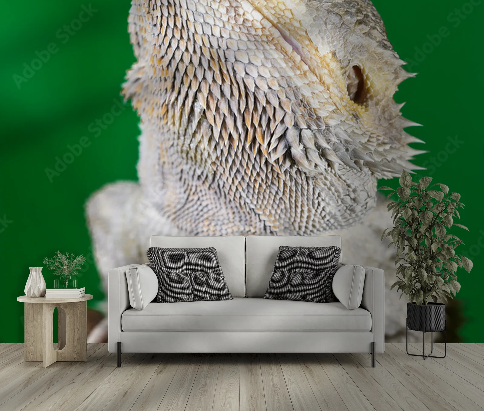Elegancki bearded dragon na tle zieleni