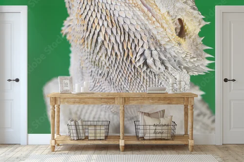 Elegancki bearded dragon na tle zieleni