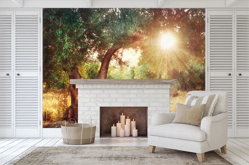 Olive Trees - Naturalna Elegancja w Pastelowych Tonach