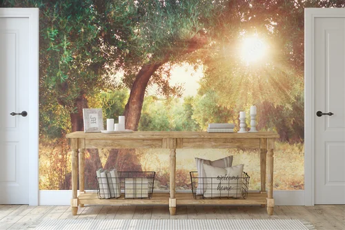 Olive Trees - Naturalna Elegancja w Pastelowych Tonach
