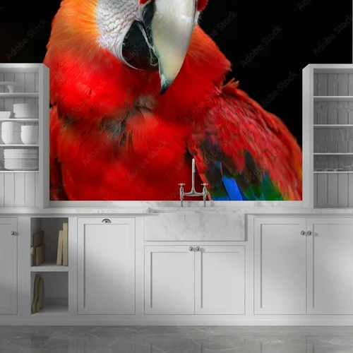 Scarlet Macaw: Kolory tropikalnej dzikości