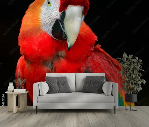Scarlet Macaw: Kolory tropikalnej dzikości