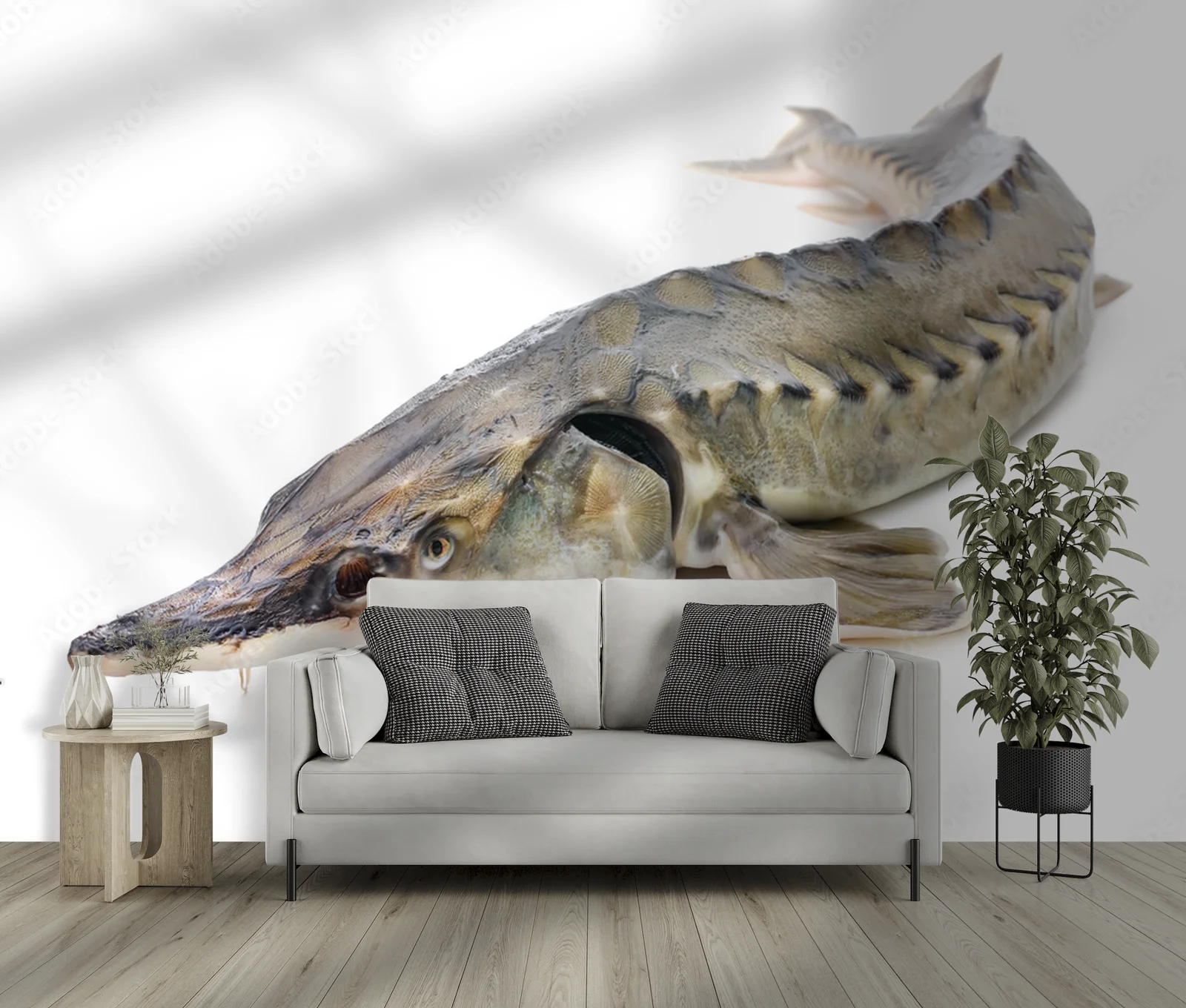 Elegancja i luksus w białych odcieniach sturgeon