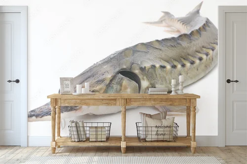 Elegancja i luksus w białych odcieniach sturgeon