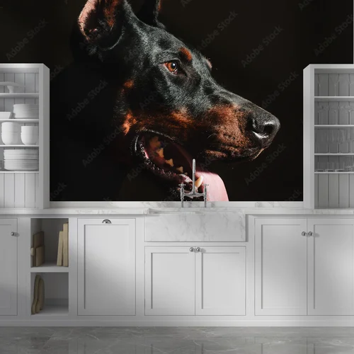 Wspaniale czarne oblicze dobermana w blasku reflektorów