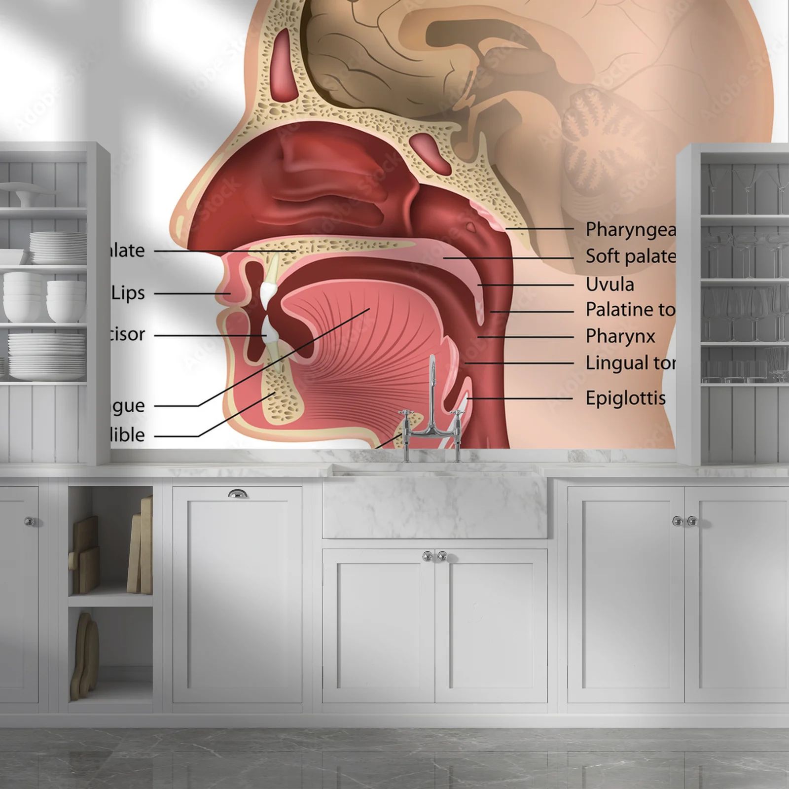 Zachwycająca kompozycja anatomii ust i gardła