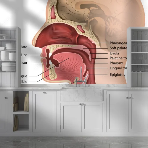 Zachwycająca kompozycja anatomii ust i gardła