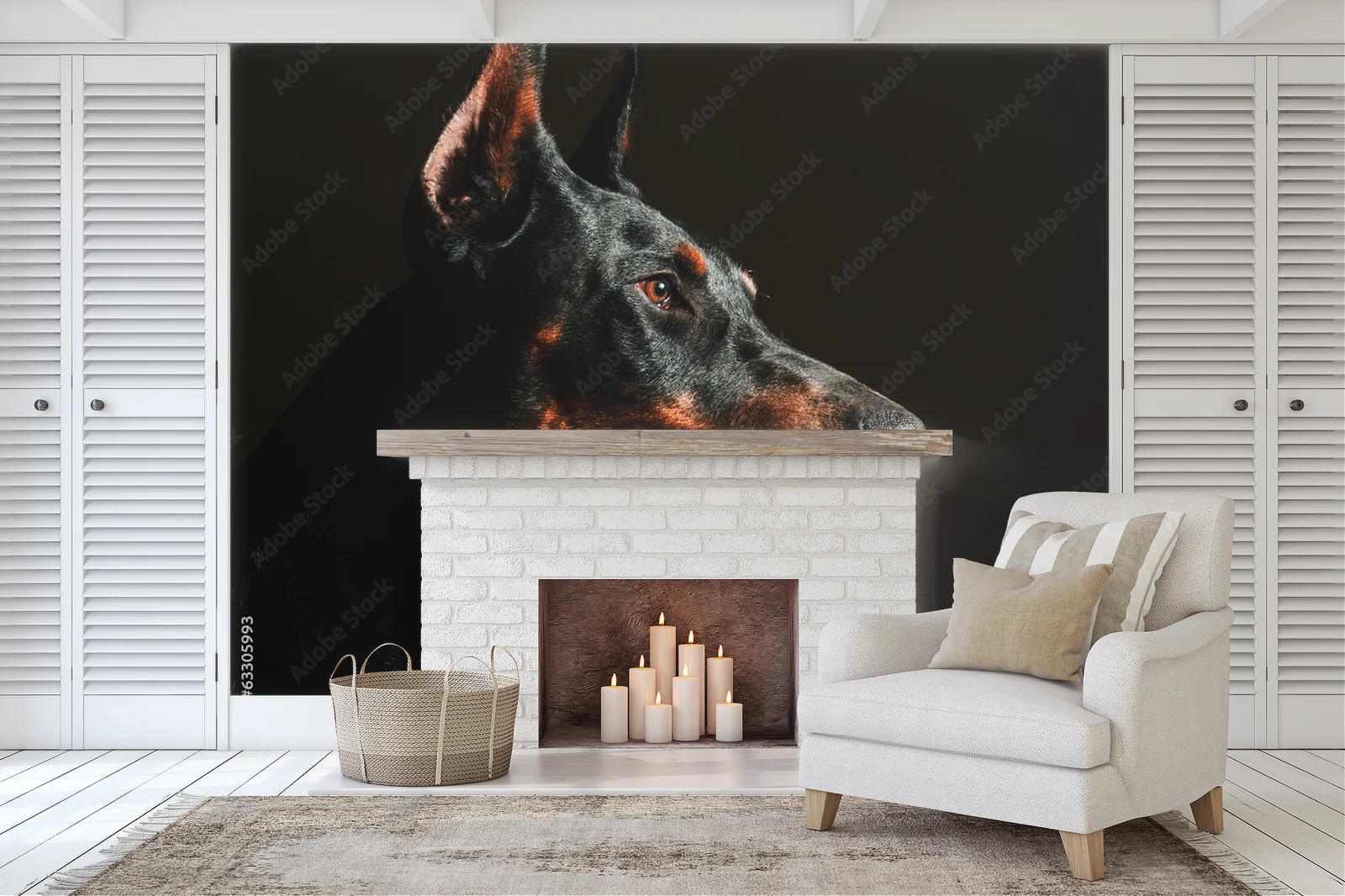 Wspaniale czarne oblicze dobermana w blasku reflektorów