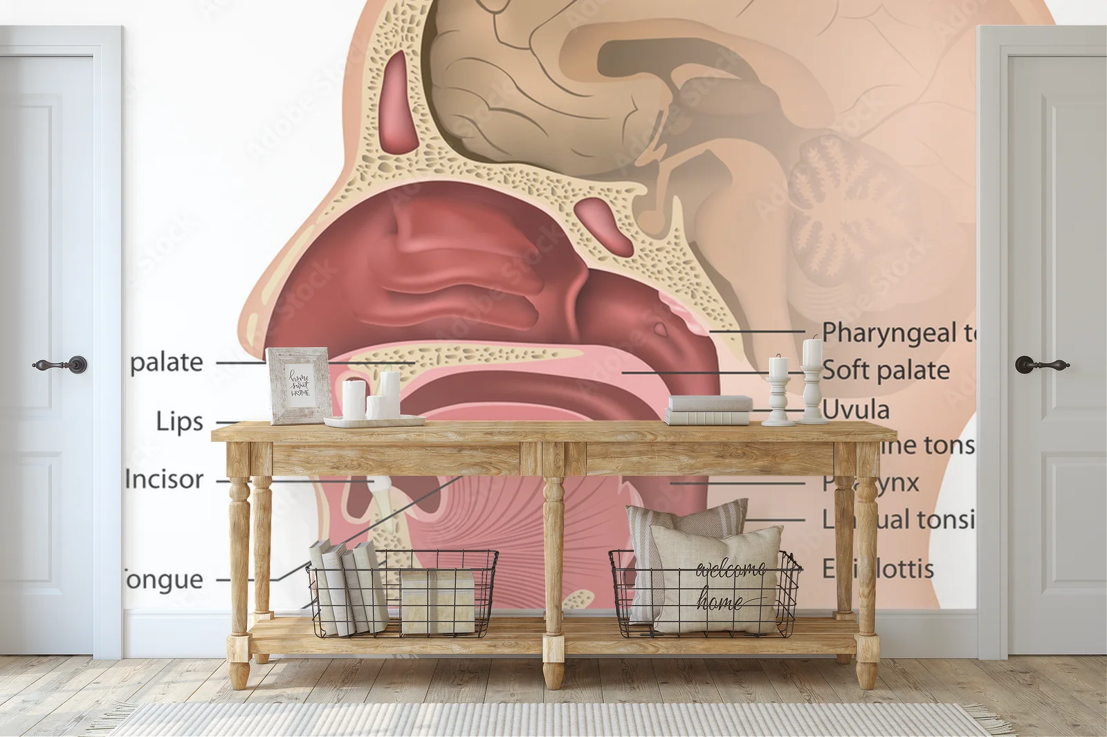 Zachwycająca kompozycja anatomii ust i gardła