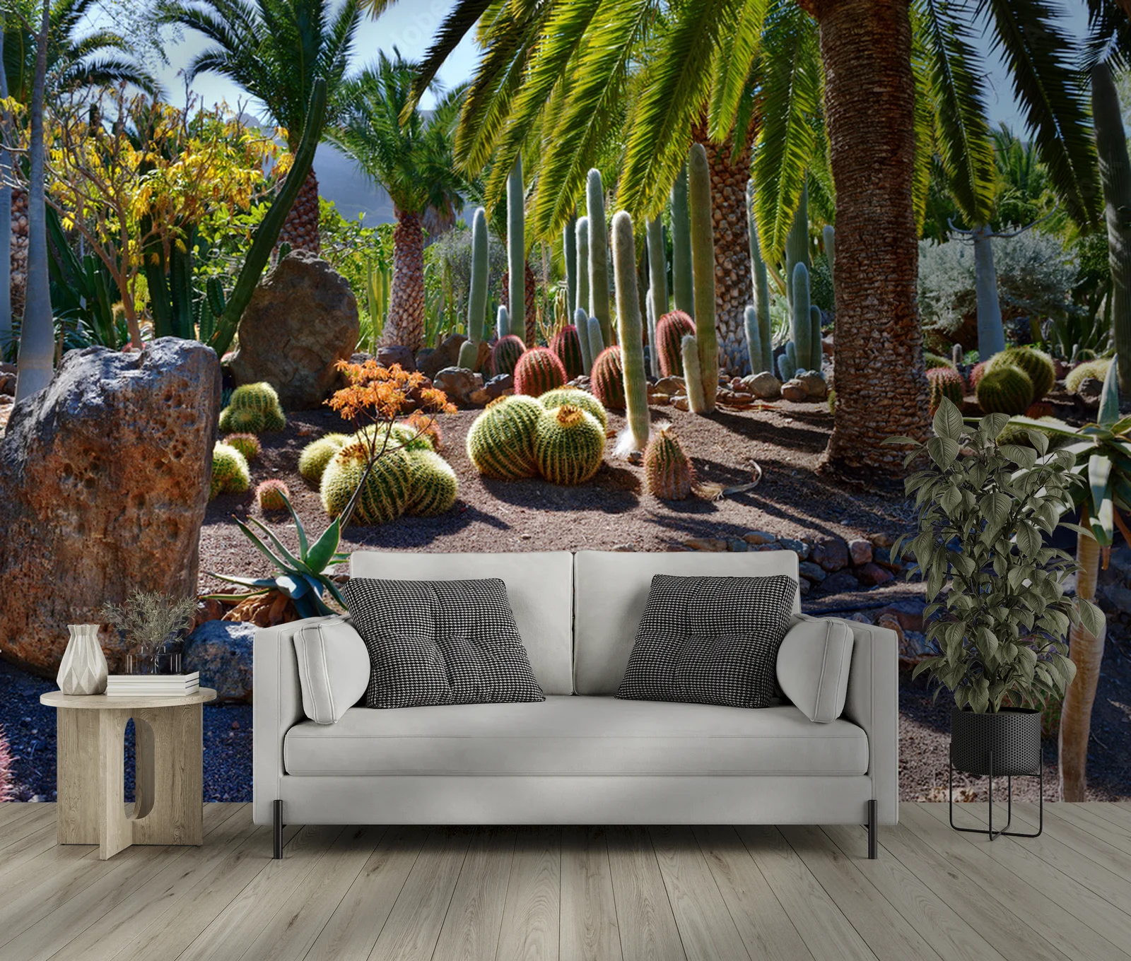 Oaza piękna: Cactus garden w pastelowej palecie