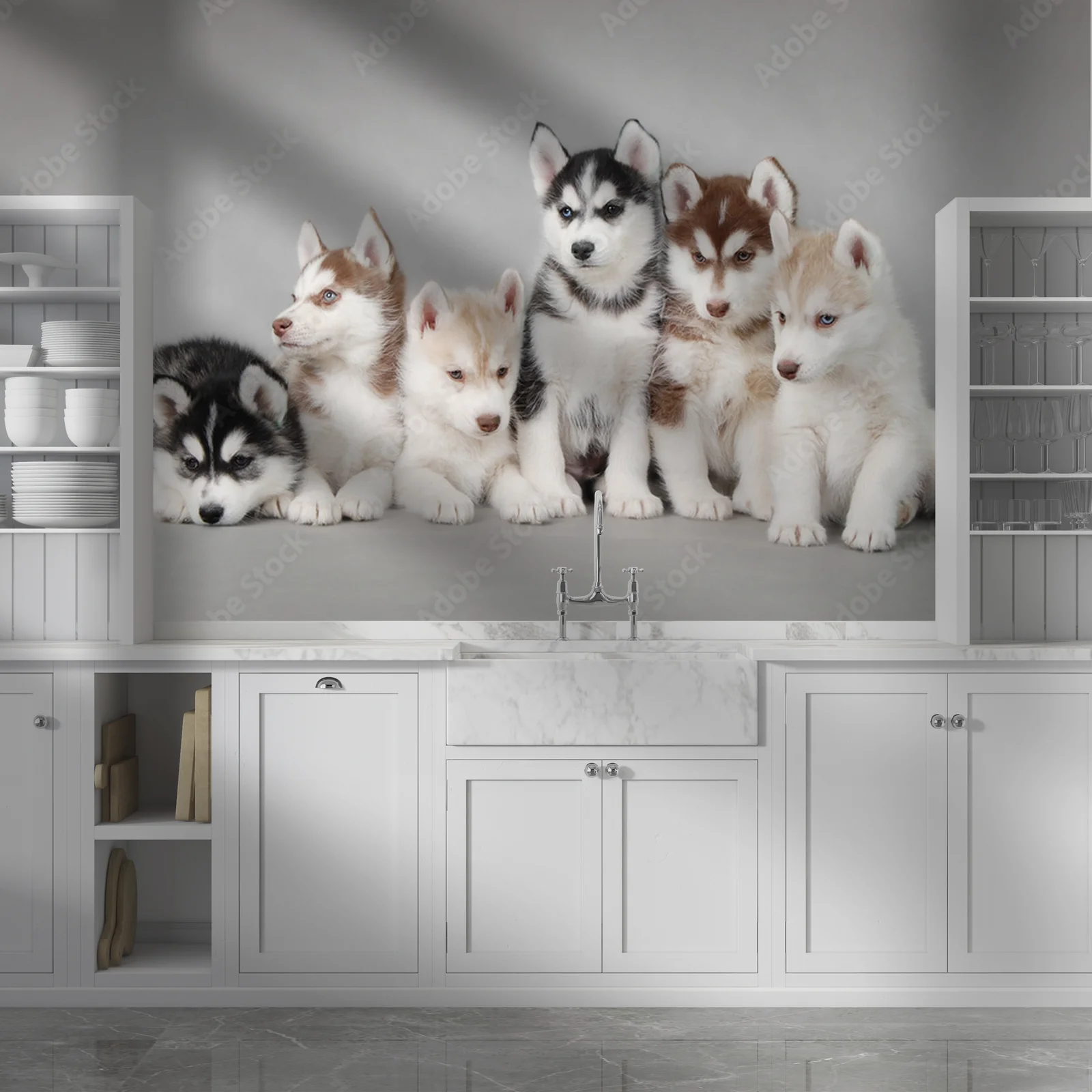 Urok urokliwego szczeniaka Siberian Husky