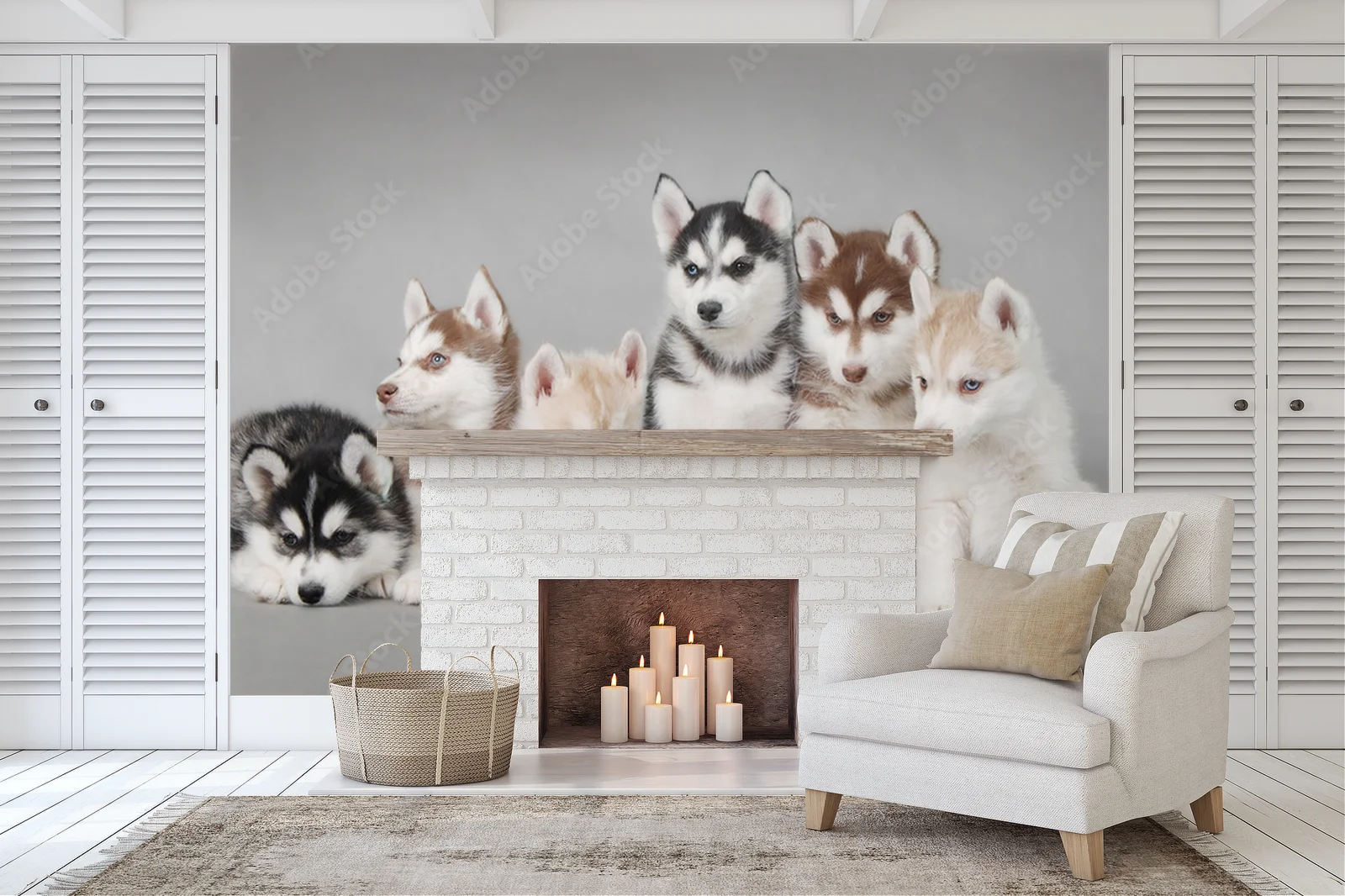 Urok urokliwego szczeniaka Siberian Husky