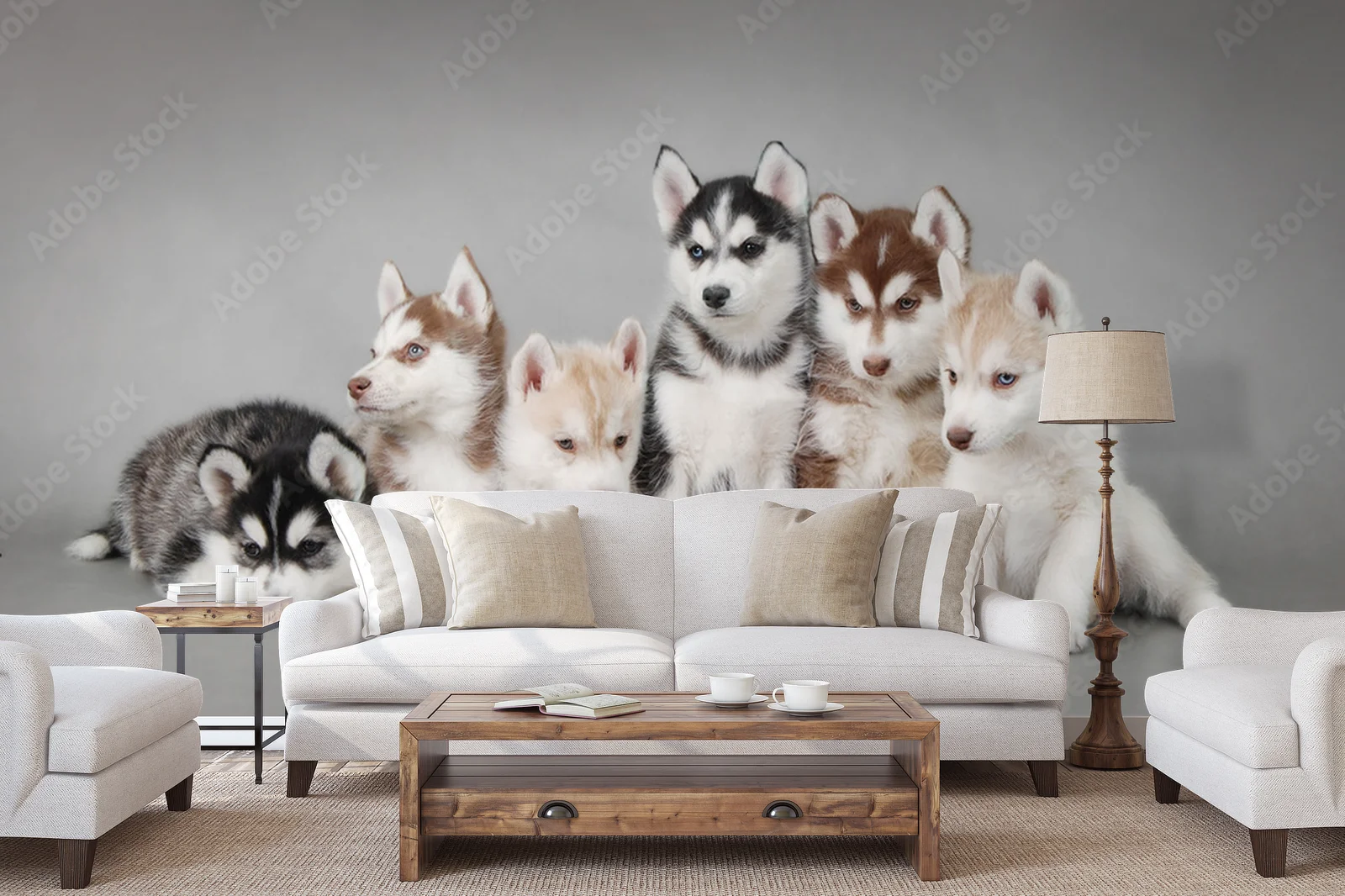 Urok urokliwego szczeniaka Siberian Husky