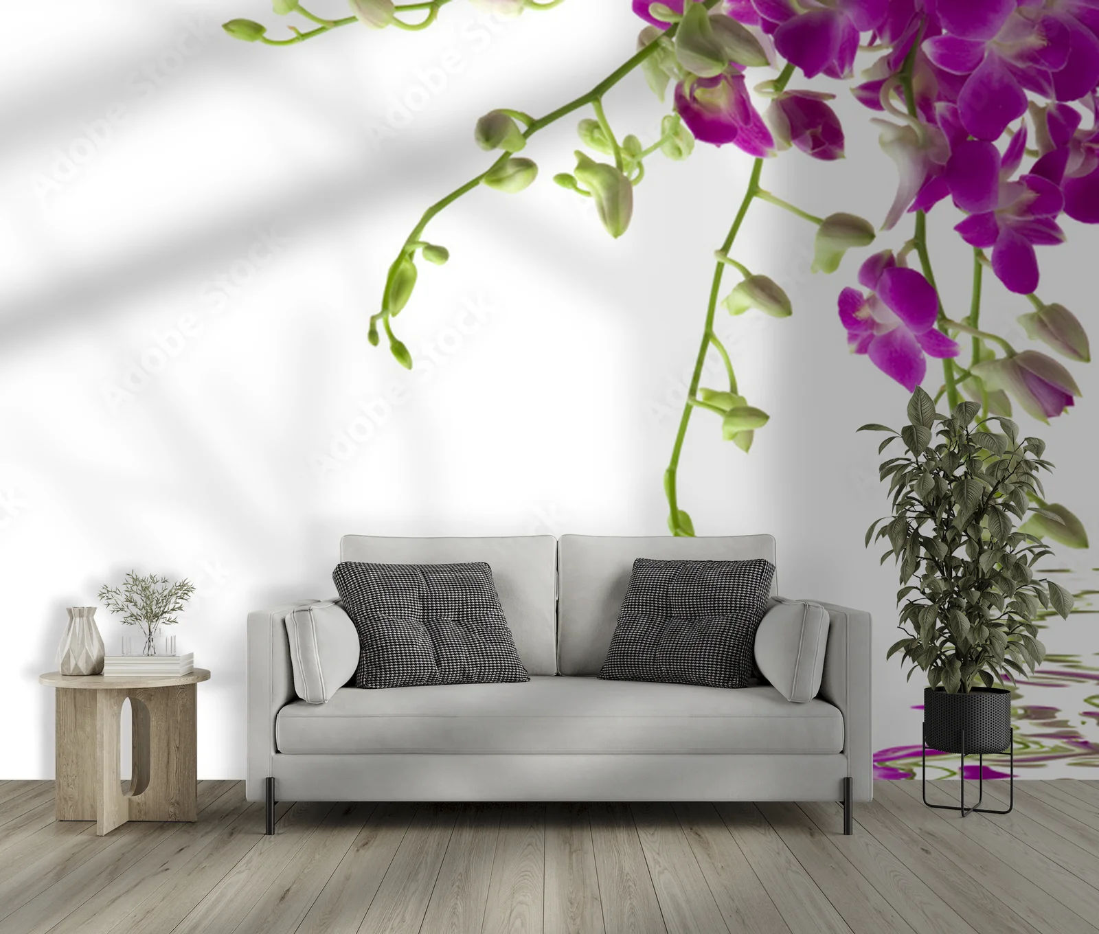 Eleganckie Orchidee w Baśniowej Bieli