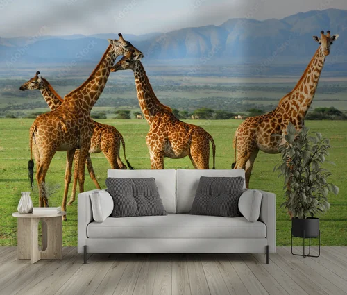 Giraffy w harmonii afrykańskiej sawanny