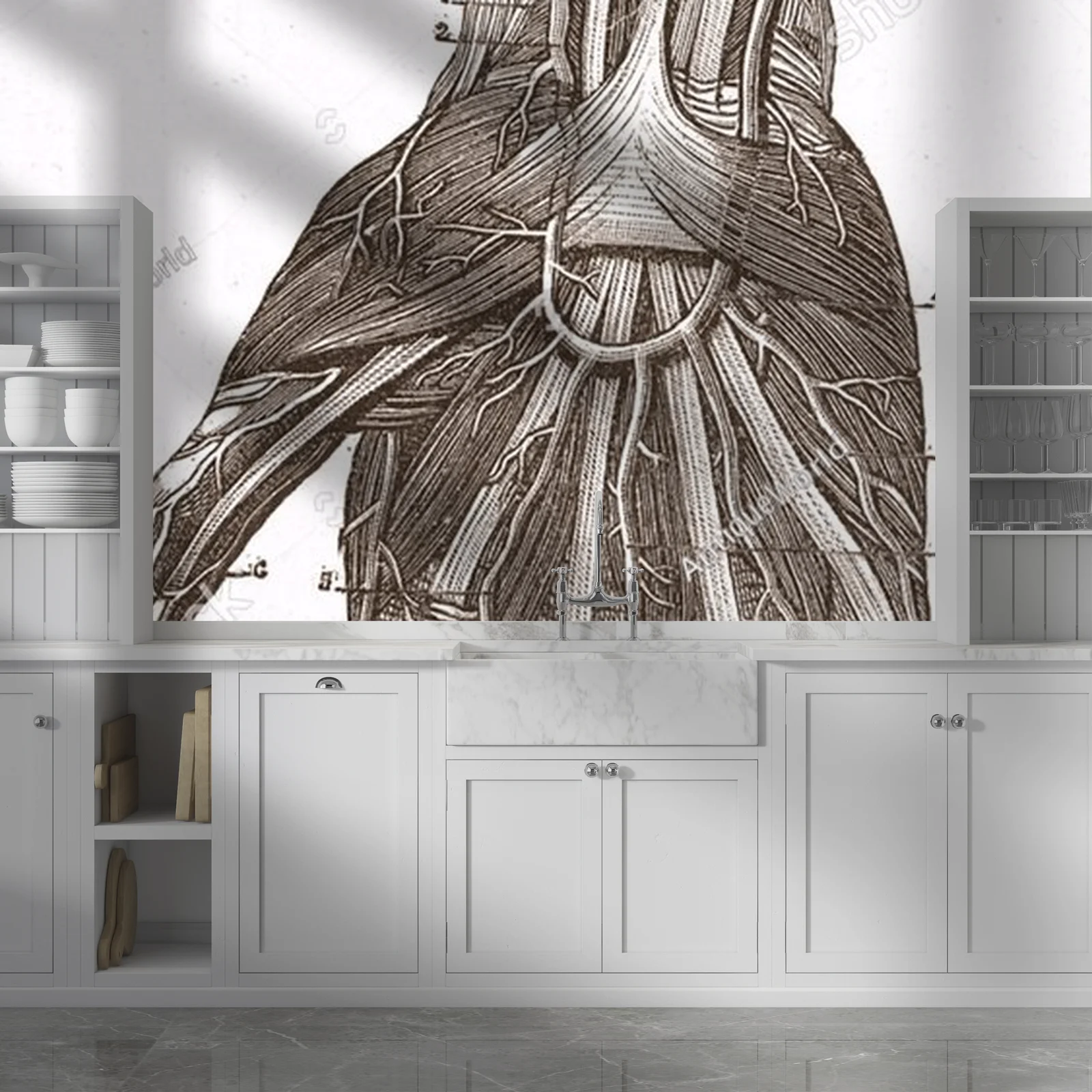 Wielowarstwowe odkrycia anatomii w vintage stylu