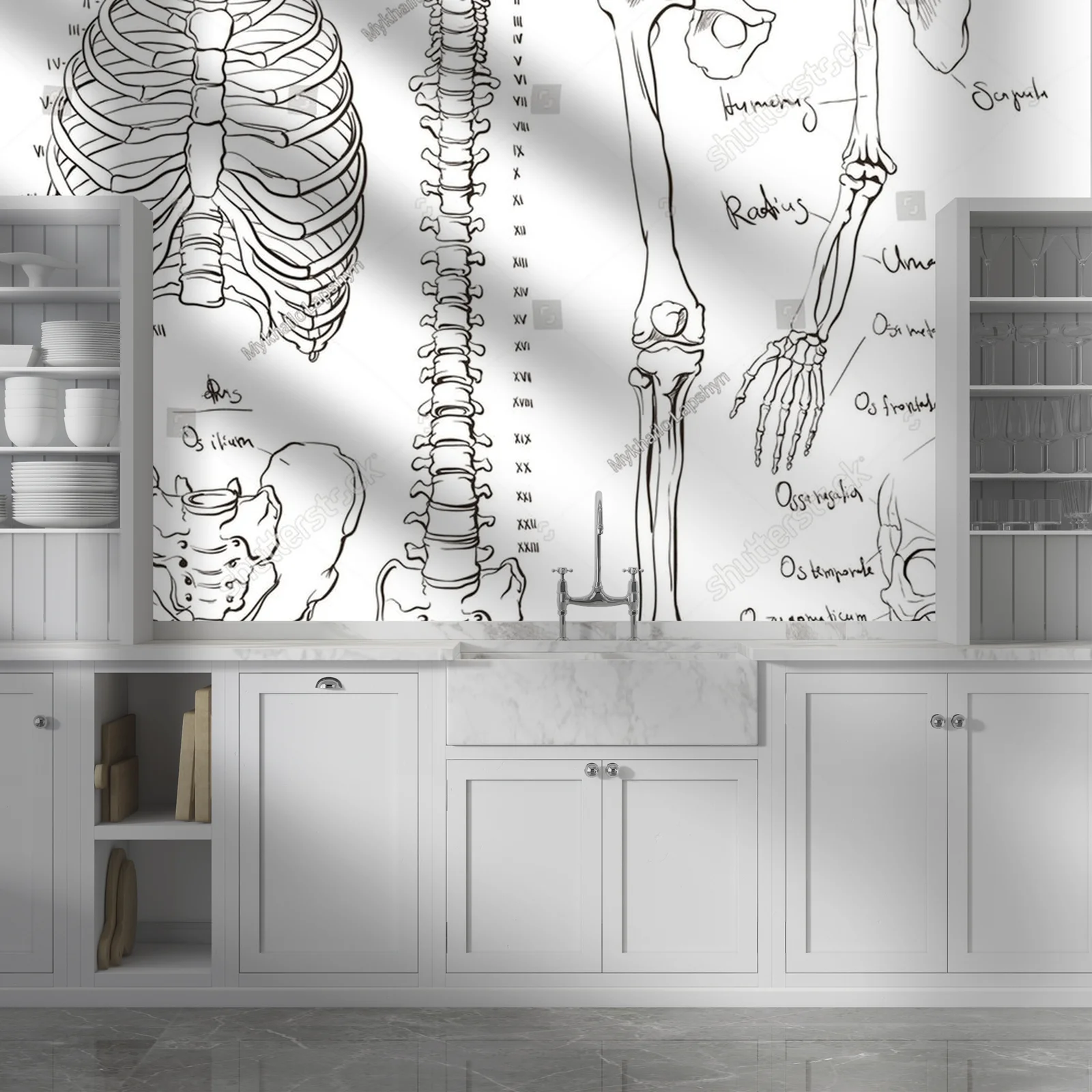 Anatomia ciała w delikatnych odcieniach bieli
