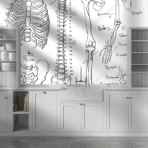 Anatomia ciała w delikatnych odcieniach bieli