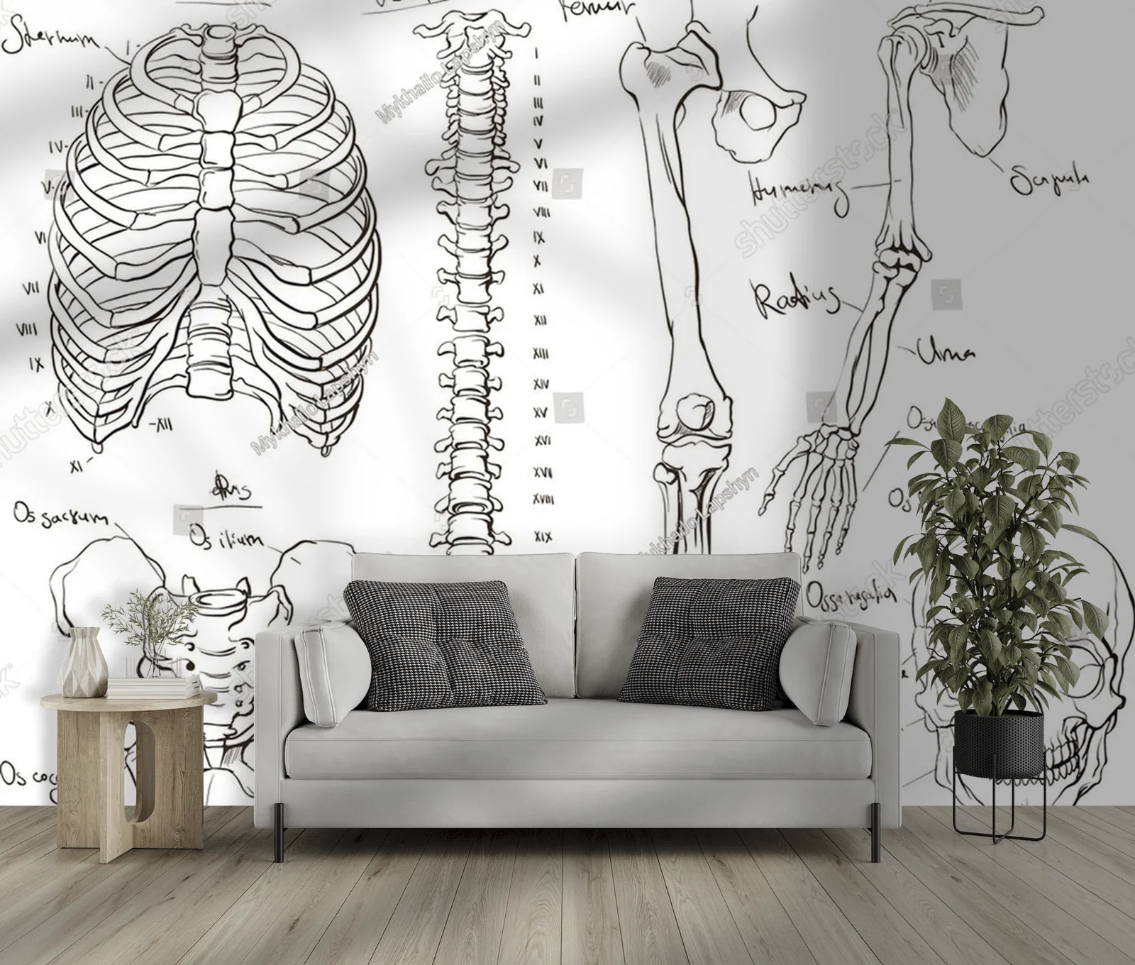 Anatomia ciała w delikatnych odcieniach bieli
