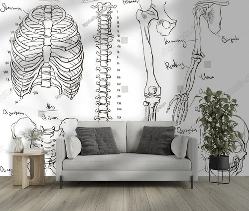 Anatomia ciała w delikatnych odcieniach bieli