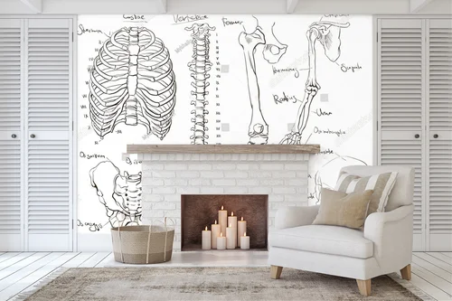 Anatomia ciała w delikatnych odcieniach bieli