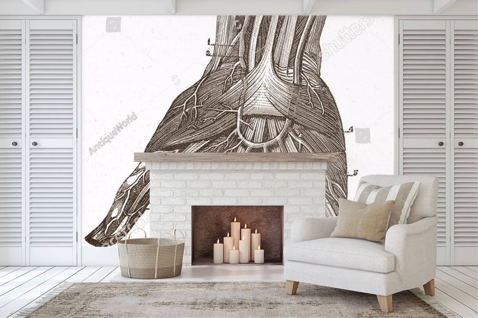 Wielowarstwowe odkrycia anatomii w vintage stylu