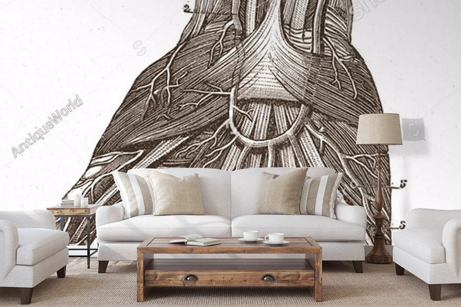 Wielowarstwowe odkrycia anatomii w vintage stylu