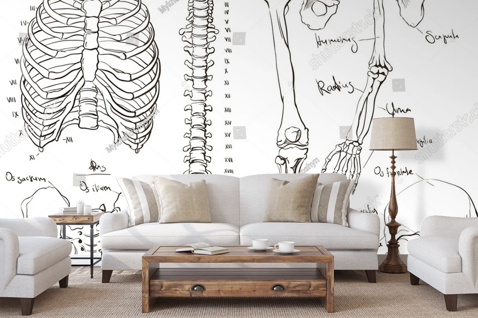 Anatomia ciała w delikatnych odcieniach bieli